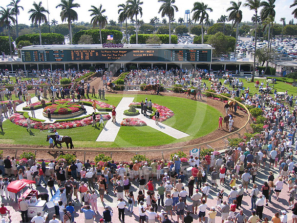 Gulfstreampark_paddock22_hr
