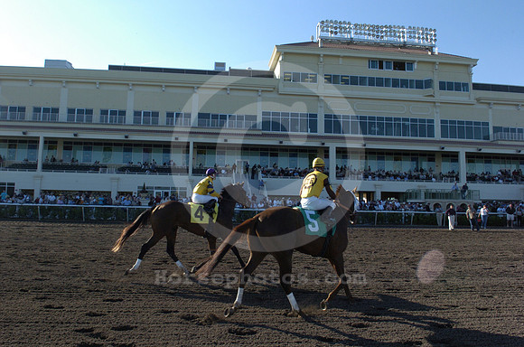gulfstreampark05_hr