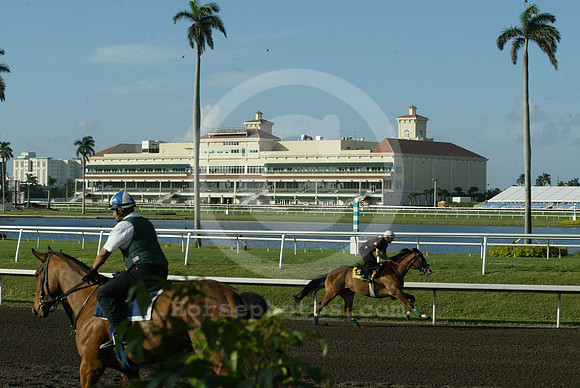 gulfstreampark34_eg