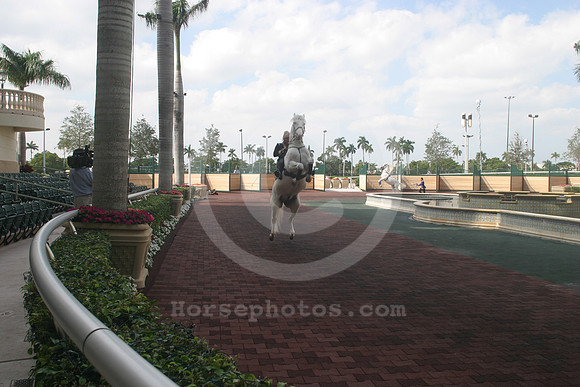 gulfstreamparkcasino09_eg