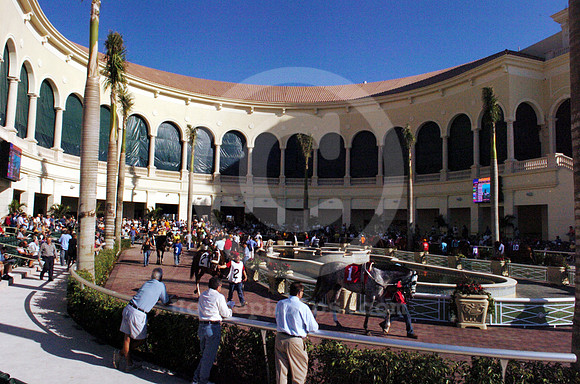 gulfstream_newpaddock01_hr