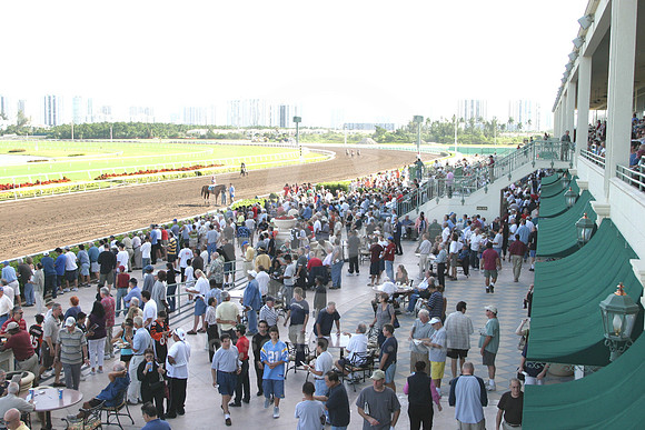 gulfstream_open09_eg