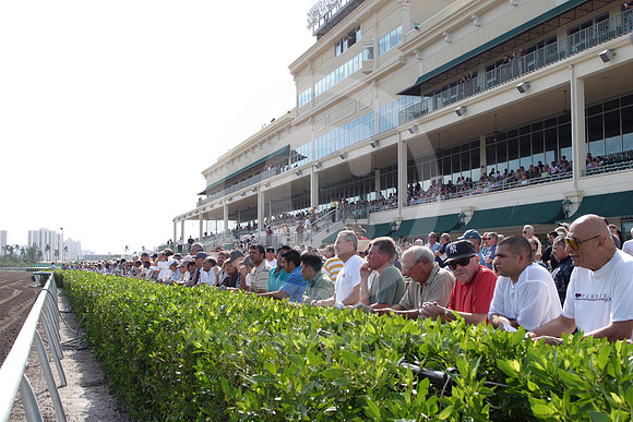 gulfstreampark60_eg