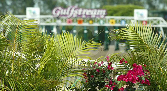 gulfstreampark32_mjm