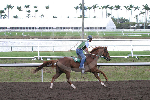 gulfstreamtraining_eg