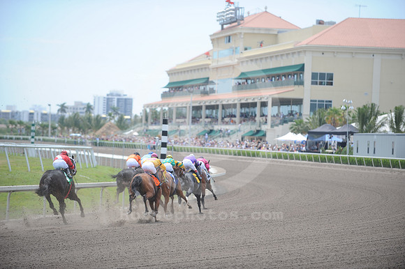 gulfstreampark78_jd