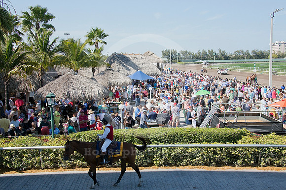 floridaderby_tikibar01_jb