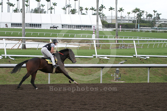gulfstreamtraining01_eg