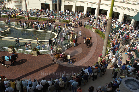 gulfstreampark_walkingring02_hr