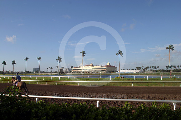 gulfstreamparkcasino16_eg