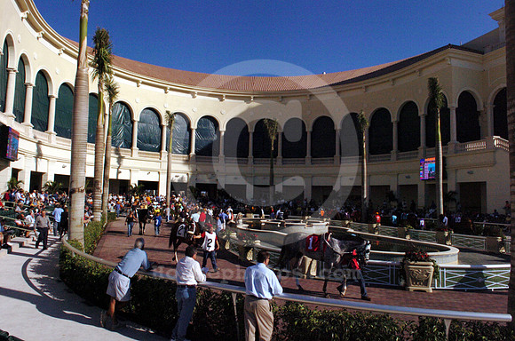 gulfstream_newpaddock05_hr