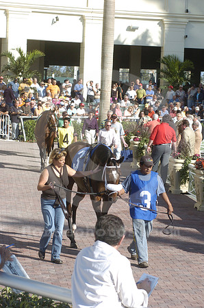 gulfstream_newpaddock03_hr