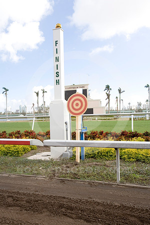 Gulfstream Park 12-05 10 _jb