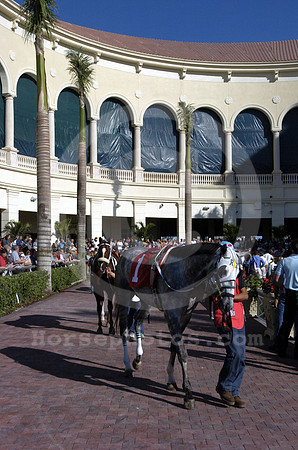 gulfstream_newpaddock02_hr