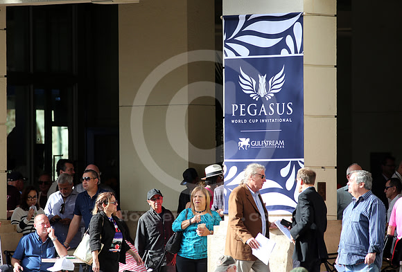 2018pegasuscrowds01_cg