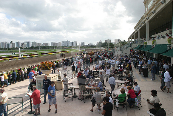 gulfstreampark_racetrack_2011_14_gg