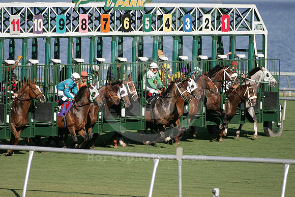 gulfstream_start02_jb