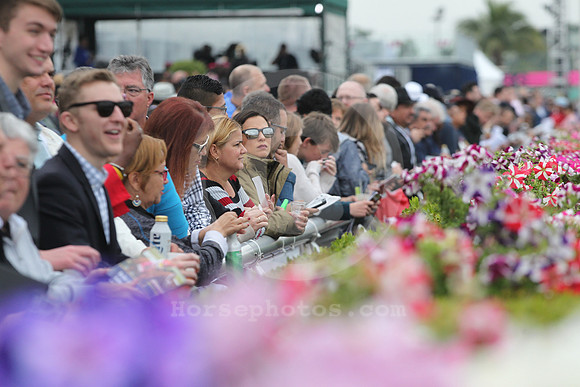 gulfstreampark_fans01_st