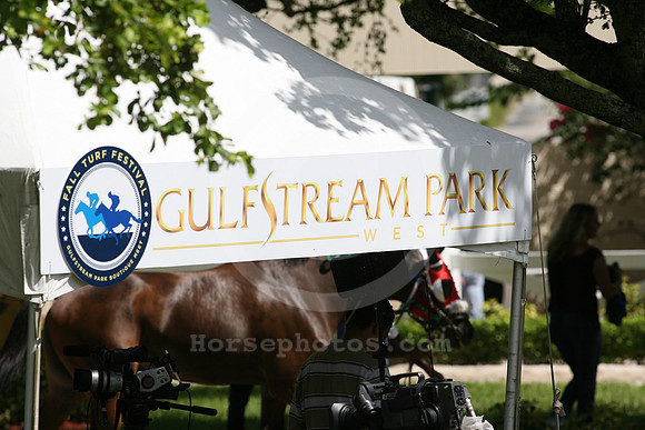 gulfstreamparkwest02_gg