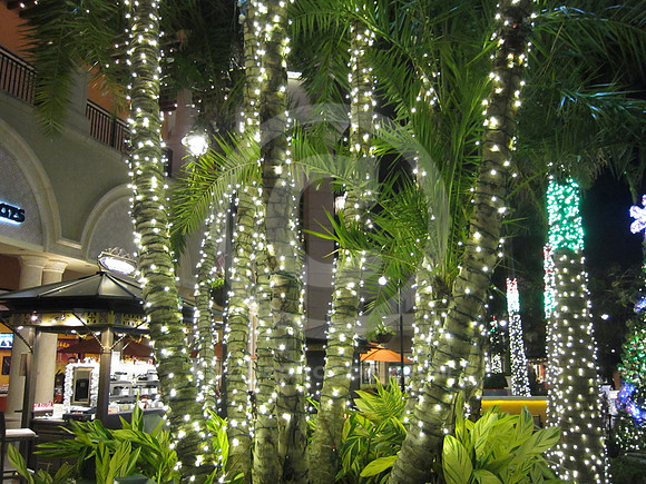 gulfstreampark_thevillage_05_gg