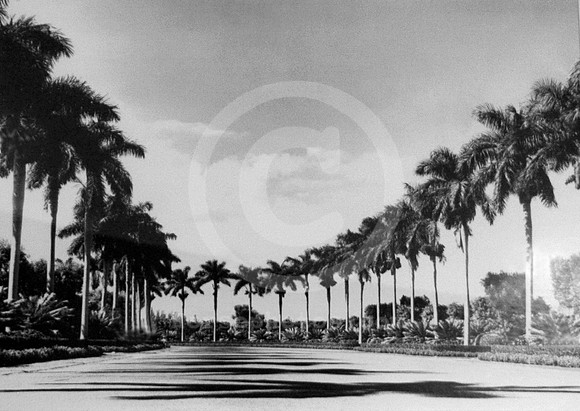 gulfstreampark72