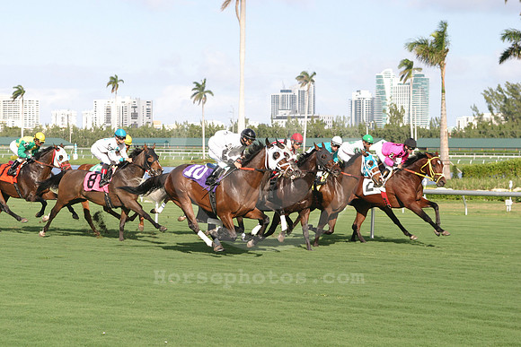 gulfstream_open11_eg