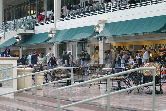 gulfstreampark_rain02_eg