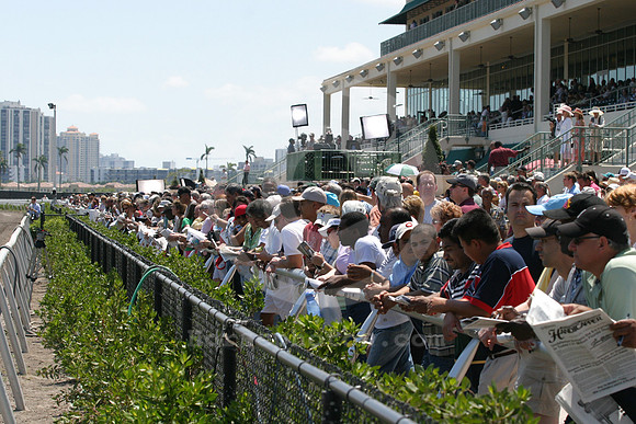 floridaderby_crowd01_eg