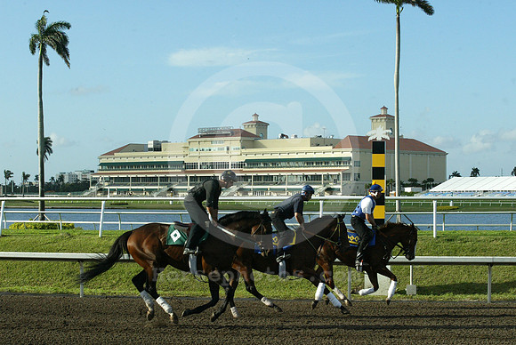 gulfstreampark35_eg