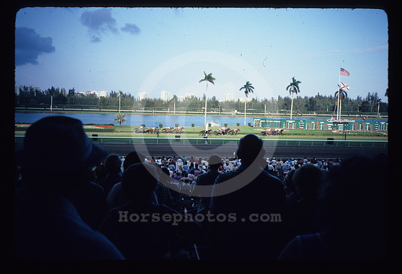 gulfstreampark_old_hr