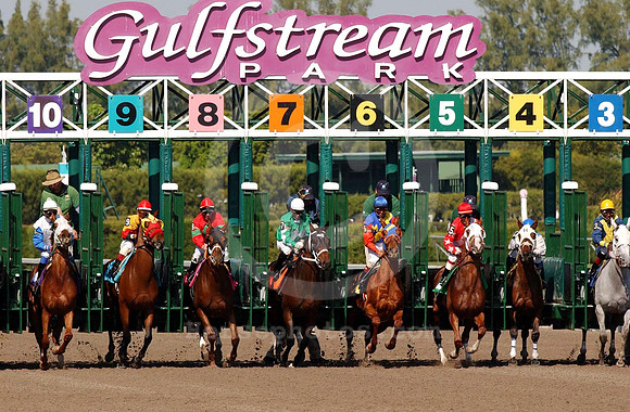 gulfstreampark06_jd