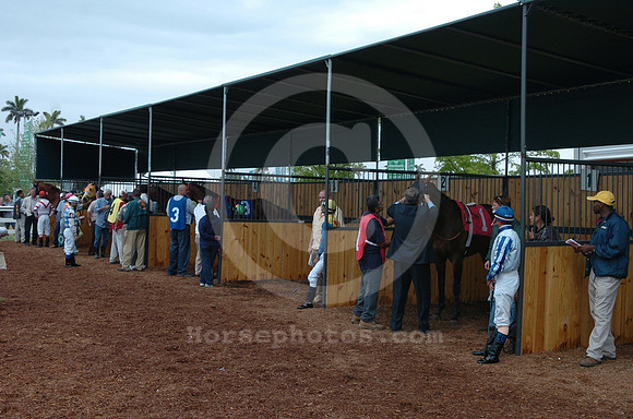 gulfstreampark_saddling01_hr