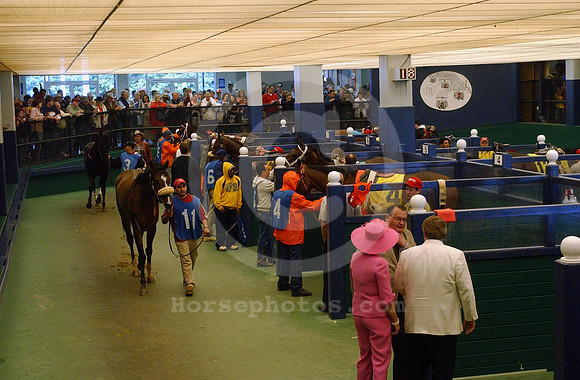 oaklawnpaddock01_jt
