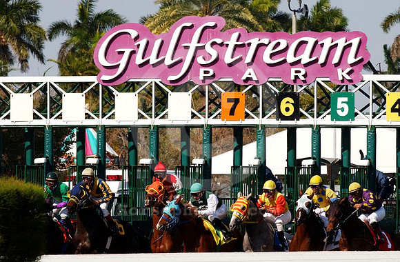 gulfstreampark08_jd
