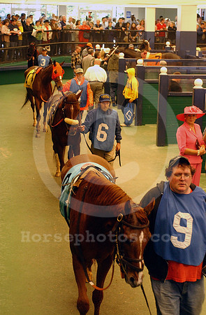 oaklawnpaddock02