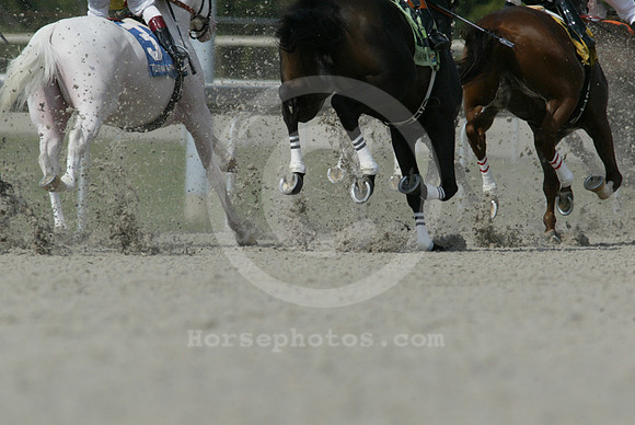 TurfwayPark_polytrack16