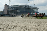 TurfwayPark06_jt