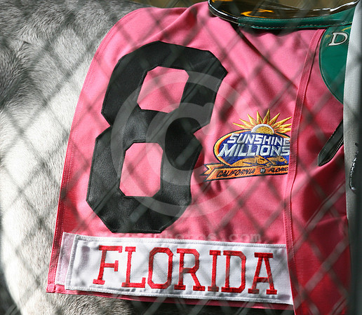 sunshinemillions01_mjm