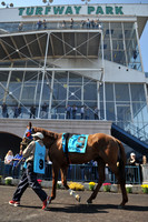 turfwaypark32_jn