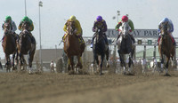 turfwaypark01_jd