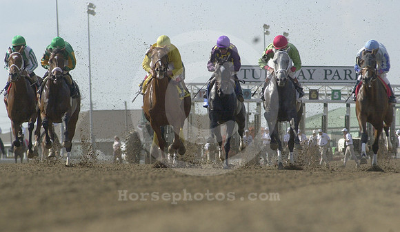 turfwaypark01_jd