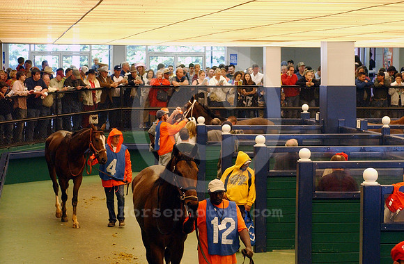 oaklawnpaddock03