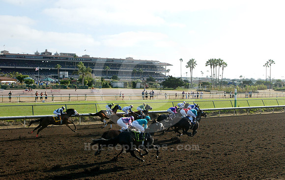 delmar15_mjm