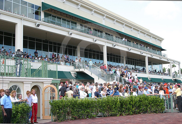 gulfstream_open07_eg