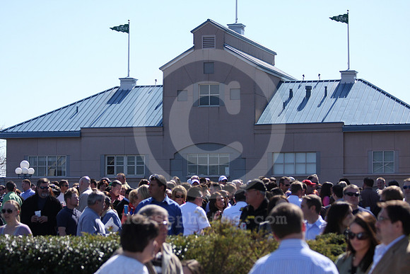 turfwaypark22_ev