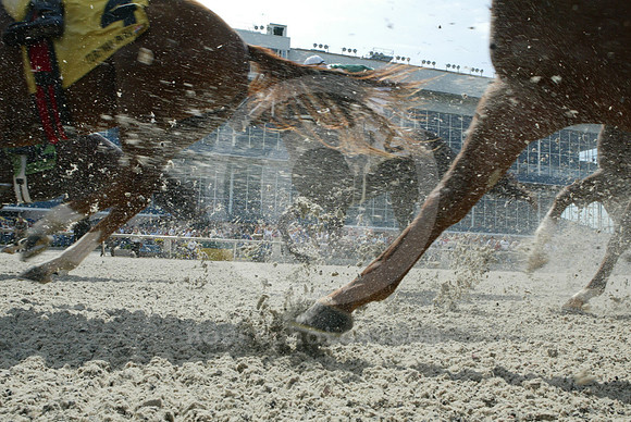 TurfwayPark_polytrack09