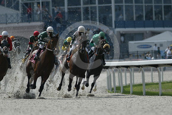 TurfwayPark_polytrack17