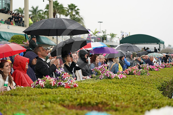 gulfstreampark_fans02_cg