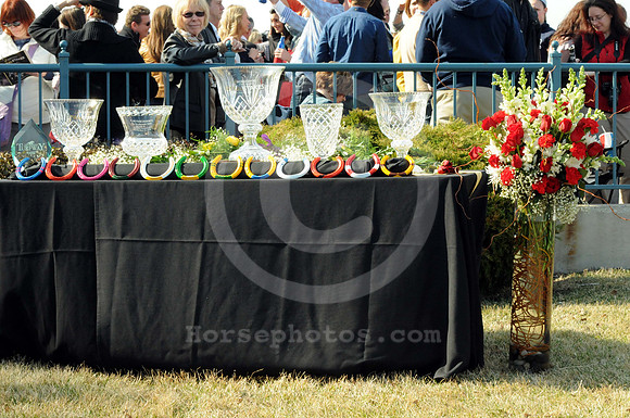 turfwaypark39_bn