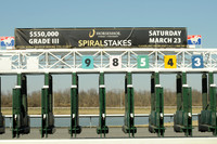 turfwaypark29_bn